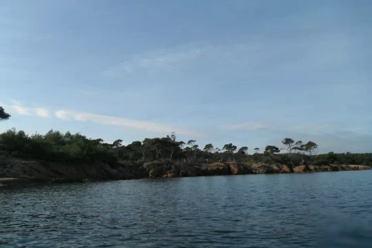 Côte, île de Porquerolles